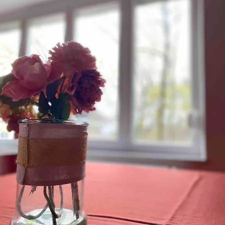 3 Zimmer Apartment Mit Flussblick - Self Check-In Eggenfelden Esterno foto
